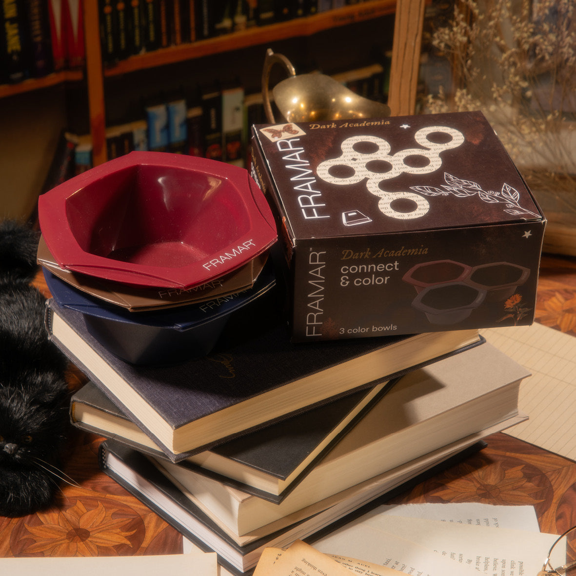 FRAMAR DARK ACADEMIA - Connect & Color Bowls tarjous