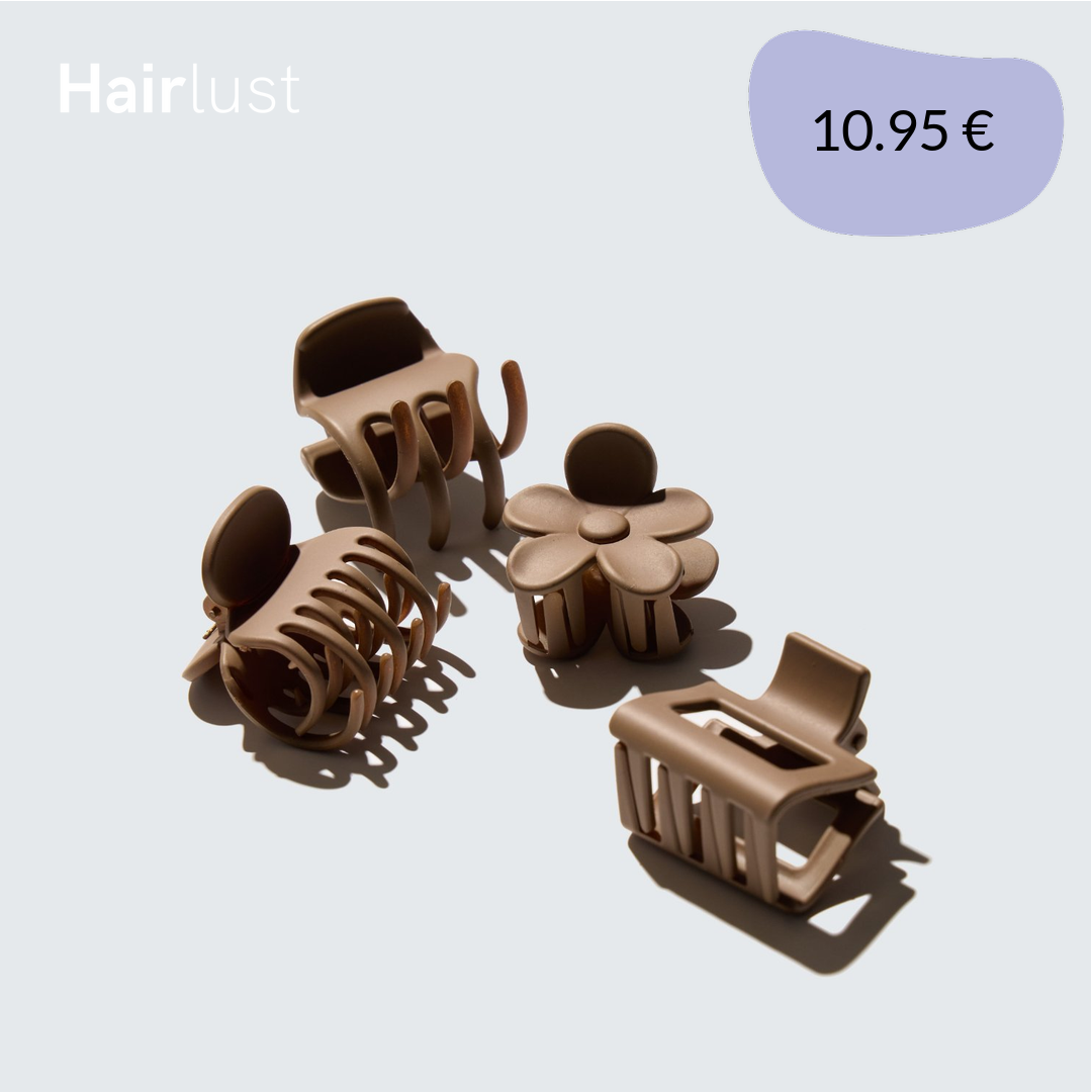 Small Claw Hair Clips