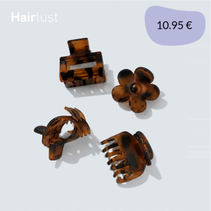 Small Claw Hair Clips