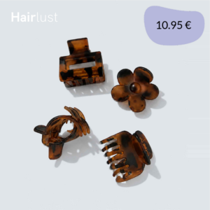 Small Claw Hair Clips